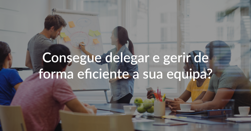 Delegar e Gerir Equipas