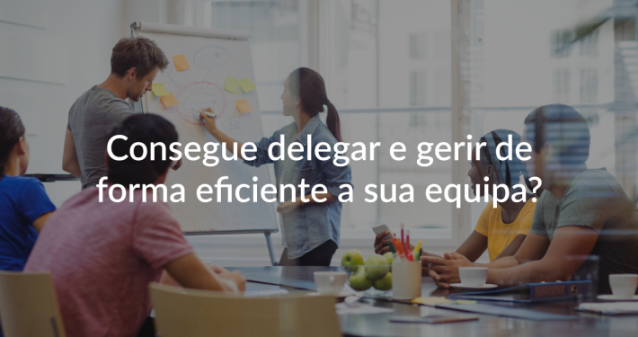 Delegar e Gerir Equipas