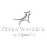 Clínica Veterinária de Algueirão Clínica Veterinária de Algueirão